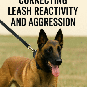 Managing and Correcting Leash Reactivity and Aggression